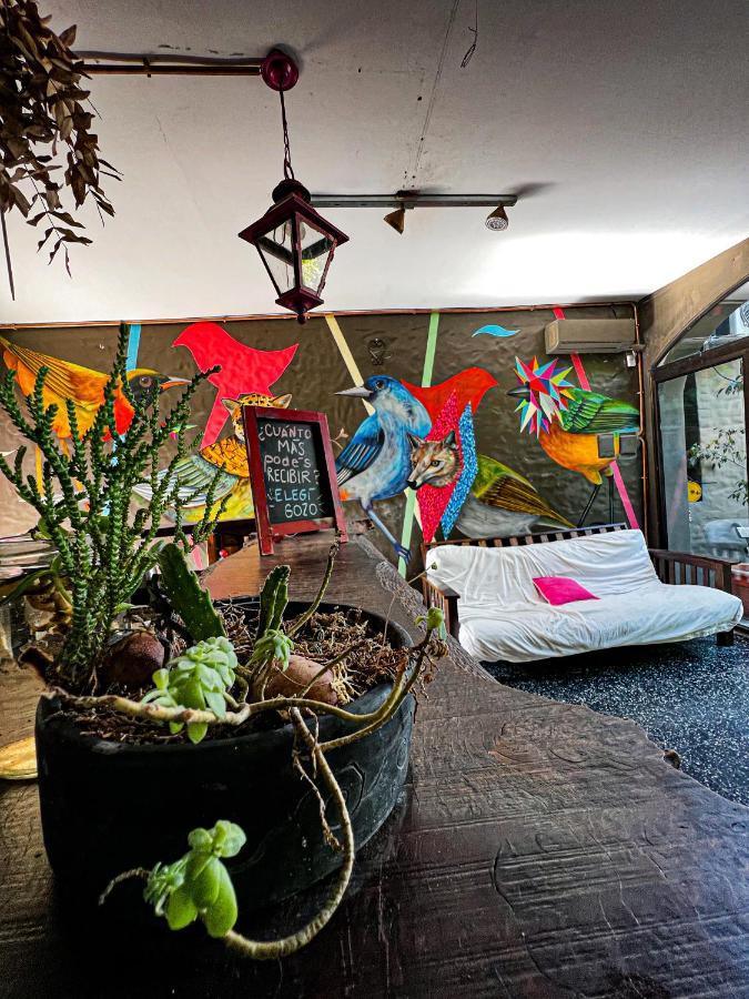 Yunga Hostel Σάλτα Εξωτερικό φωτογραφία
