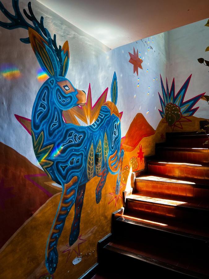 Yunga Hostel Σάλτα Εξωτερικό φωτογραφία