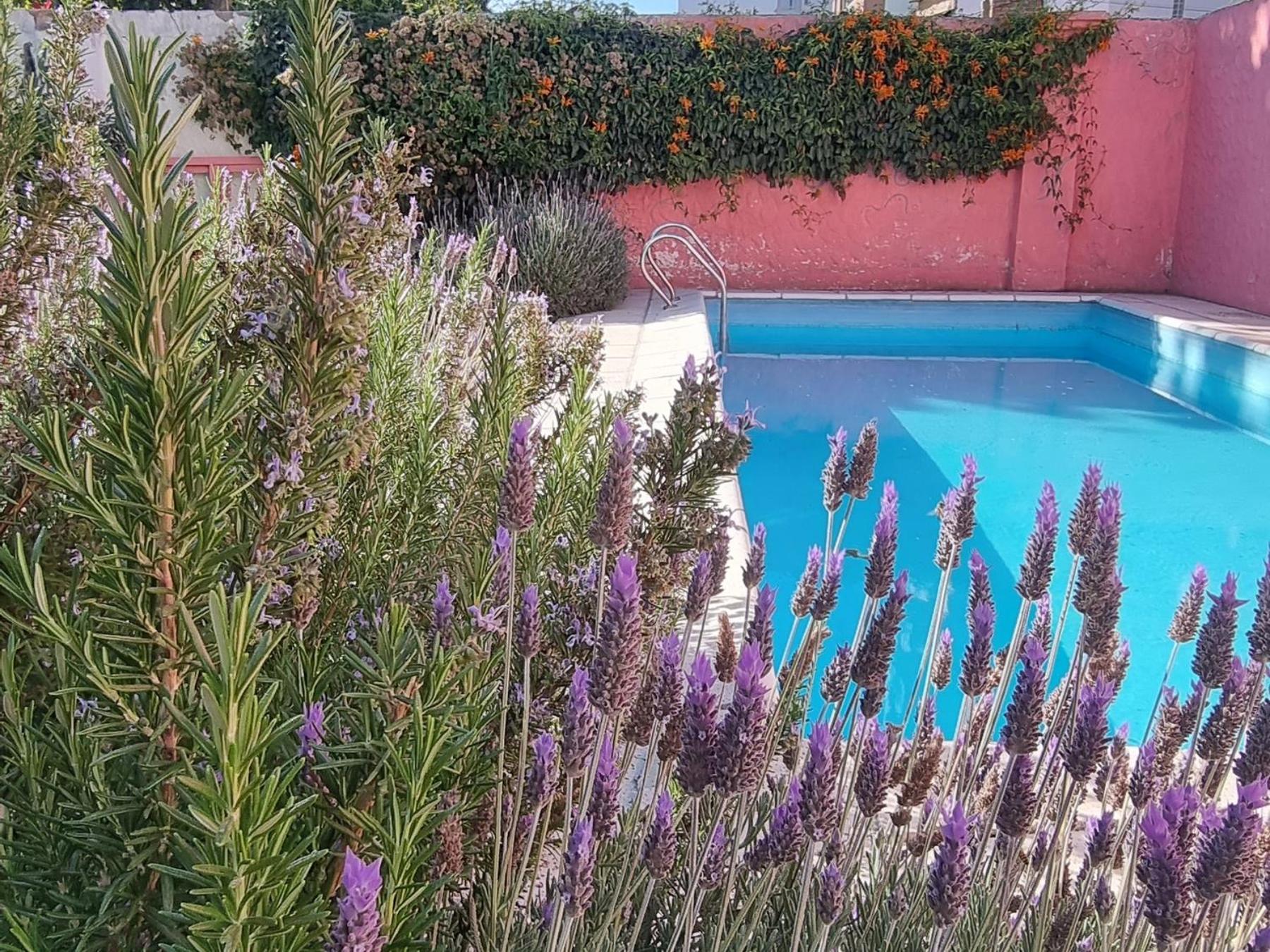 Yunga Hostel Σάλτα Εξωτερικό φωτογραφία