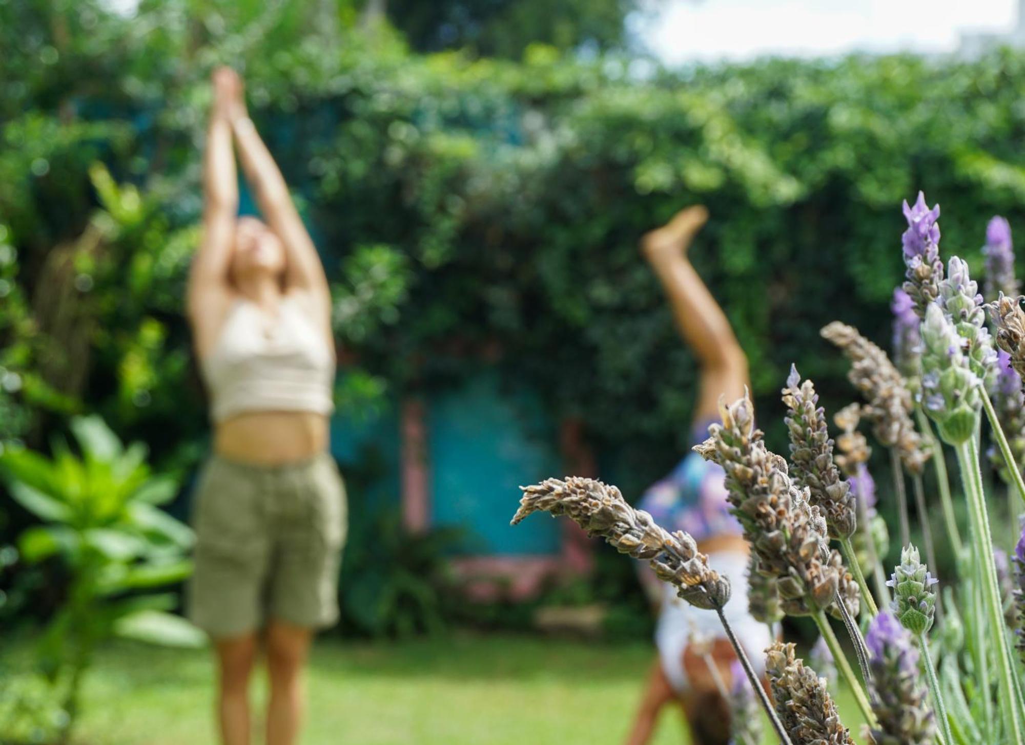 Yunga Hostel Σάλτα Εξωτερικό φωτογραφία