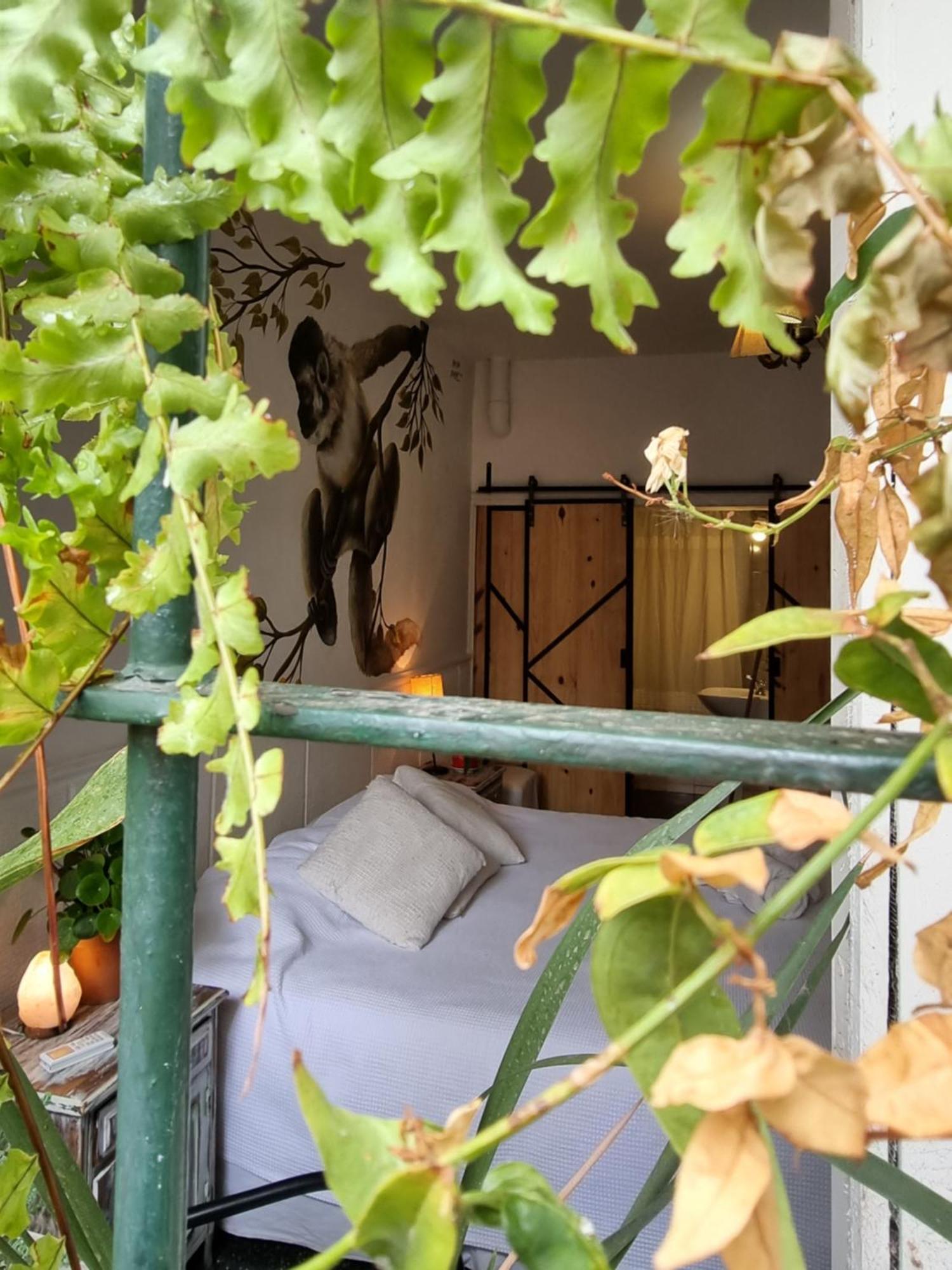 Yunga Hostel Σάλτα Δωμάτιο φωτογραφία