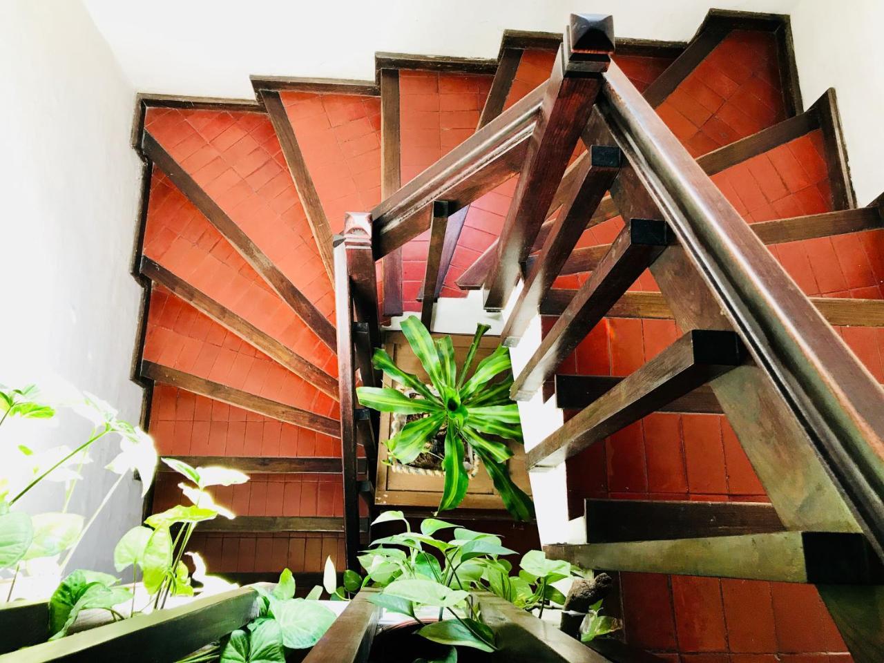 Yunga Hostel Σάλτα Εξωτερικό φωτογραφία